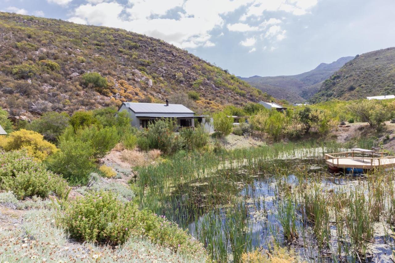 הוילה סיטרוסדאל Cederkloof Botanical Retreat מראה חיצוני תמונה