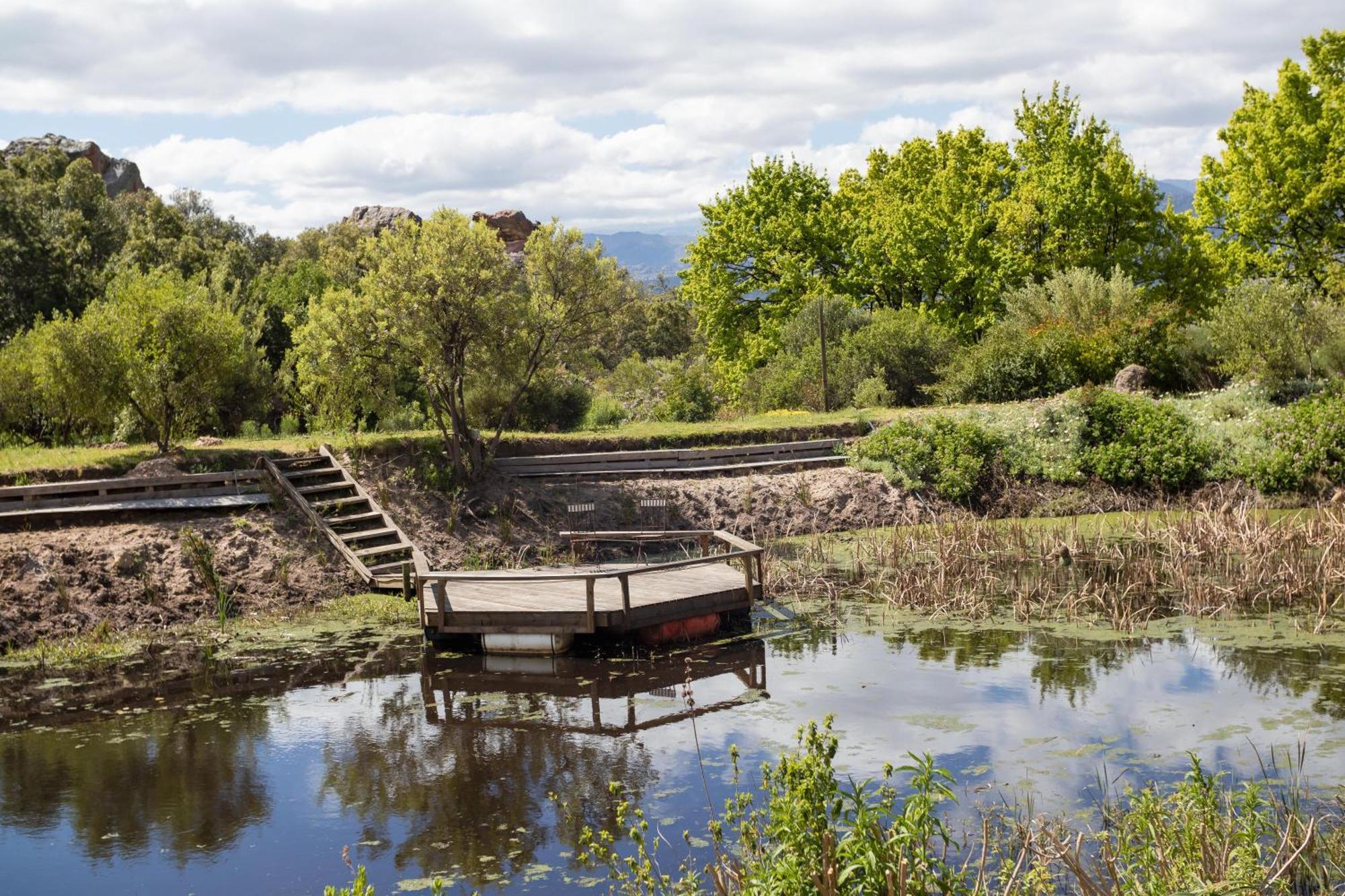 הוילה סיטרוסדאל Cederkloof Botanical Retreat מראה חיצוני תמונה