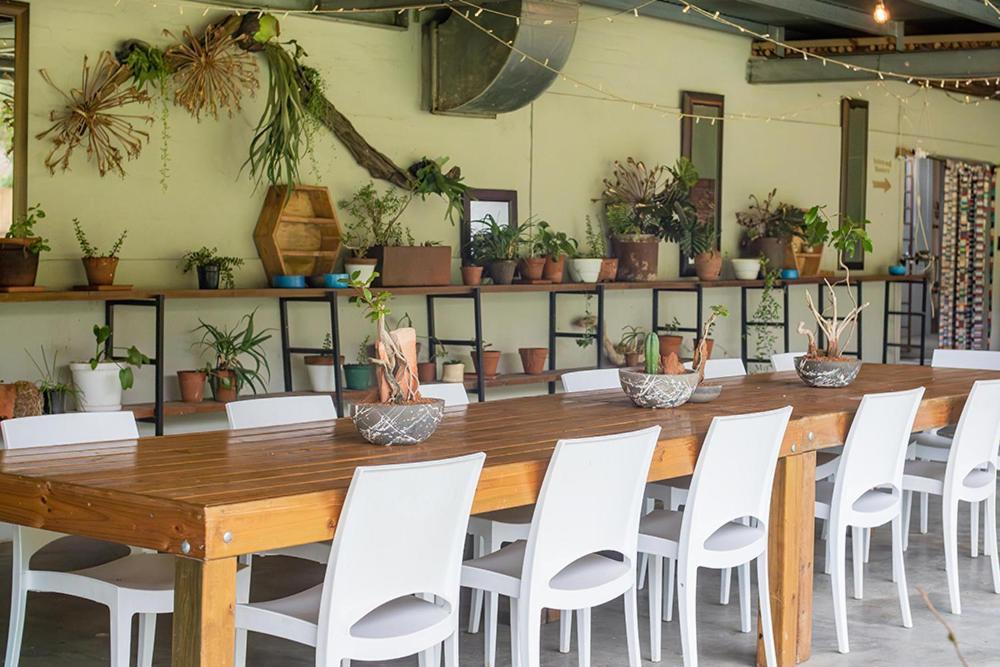 הוילה סיטרוסדאל Cederkloof Botanical Retreat מראה חיצוני תמונה