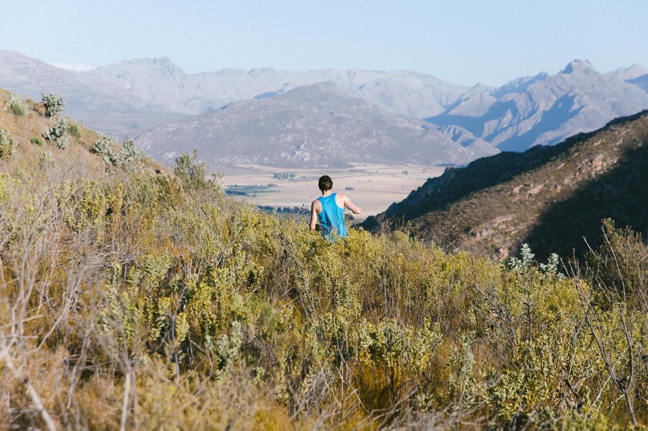 הוילה סיטרוסדאל Cederkloof Botanical Retreat מראה חיצוני תמונה